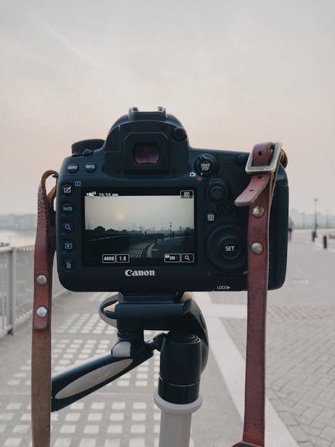 วิวเป็นล้านแต่คนเม้นต์เงียบกริบ: เปิดโปง 'กับดักจิตวิทยา' ที่ทำให้คุณแชร์ไม่หยุดบน Shorts (แต่กระเป๋าตังค์ยังว่างเปล่า!)