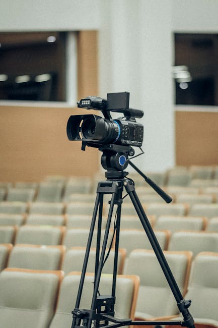 เมื่อคลิปขยะกลายเป็นเพชร: ถอดรหัสไวรัลหลักล้านที่ใครก็ไม่กล้าเลียนแบบ (และคุณก็ทำได้ฟรี!)