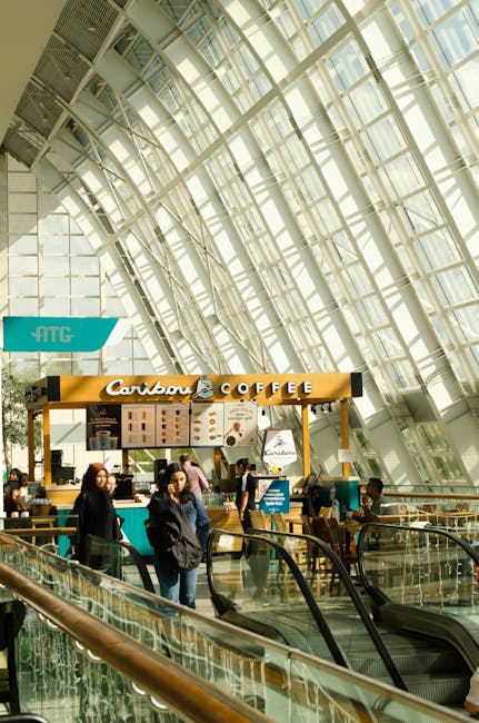 กลัวตกขบวน? ทำไมคนขายเก่งถึงใช้ ‘จิตวิทยาความกลัว’ ปั่นยอดคลิป Shopee/Lazada ได้รัวๆ (แม้ฟอลน้อยสุดๆ!)