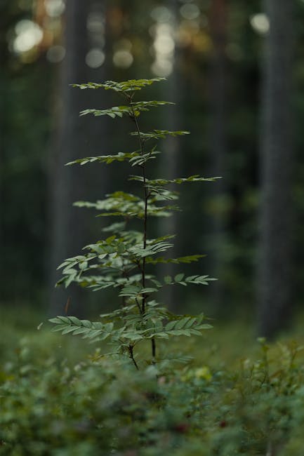 ชีวิตดี๊ดี (หรือเปล่า?): เมื่อ Instagram กลายเป็นเวทีประกวดความเฟค และวิธีเอาตัวรอดแบบร้ายๆ แต่ได้เงิน