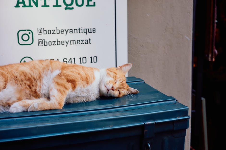 Hook สะกดจิต: ทำไมโพสต์ Threads ที่คนหยุดเลื่อนดู กลับพังชีวิตอินฟลูเอนเซอร์หน้าใหม่?