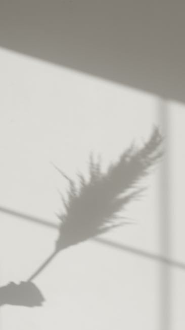 Shadowban หรือแค่ชีวิตไม่ปัง? ไขรหัสลับแดนสนธยาของเหล่าอินฟลูฯ มือใหม่บน IG