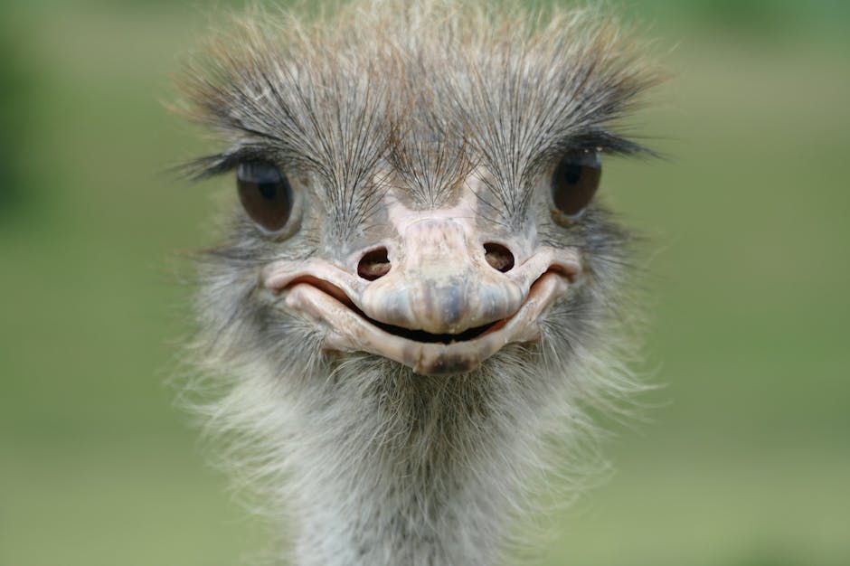 Edutainment หรือ Edutorture? เมื่อคลิปให้ความรู้บน TikTok กลายเป็นสนามประลอง 'ใครฮากว่า ใครรอด!'