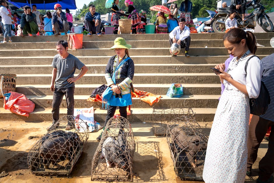 แชร์จนรวย หรือแชร์จนพัง? จิตวิทยาด้านมืดบน Shopee/Lazada Video ที่คนทำแบรนด์ไม่เคยรู้ตัว