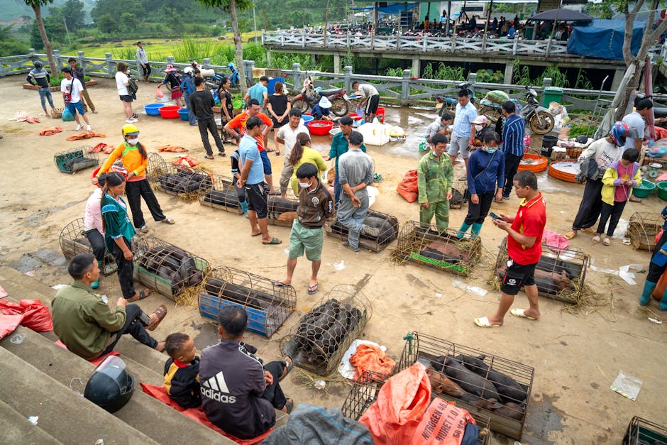 คอมเมนต์หน้าม้า หรือแค่หน้ามึน? เมื่อ Social Commerce กลายเป็นเวทีของนักแสดงสมัครเล่น