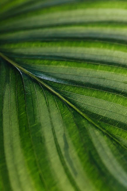 Gen Z ซื้อฟอลเพราะรัก? หรือเพราะกลัวไม่มีใครรัก: ตีแผ่ด้านมืดแบรนด์สกินแคร์บน Instagram