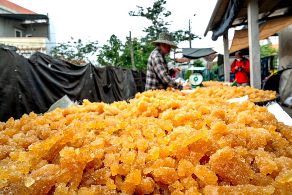 เบื้องหลัง 'ไวรัลปลอม': เมื่อยอดวิว TikTok ไม่ได้มาง่ายๆ (แต่ใครก็ปั้นได้ถ้ากล้า!)